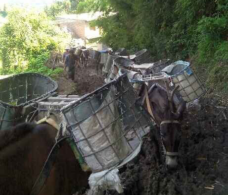 海珠区马帮搬运