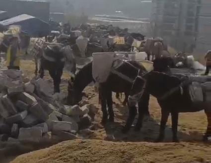 海珠区马队山路运输