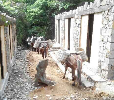 海珠区马队运输队