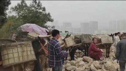 海珠区骡马山区运输