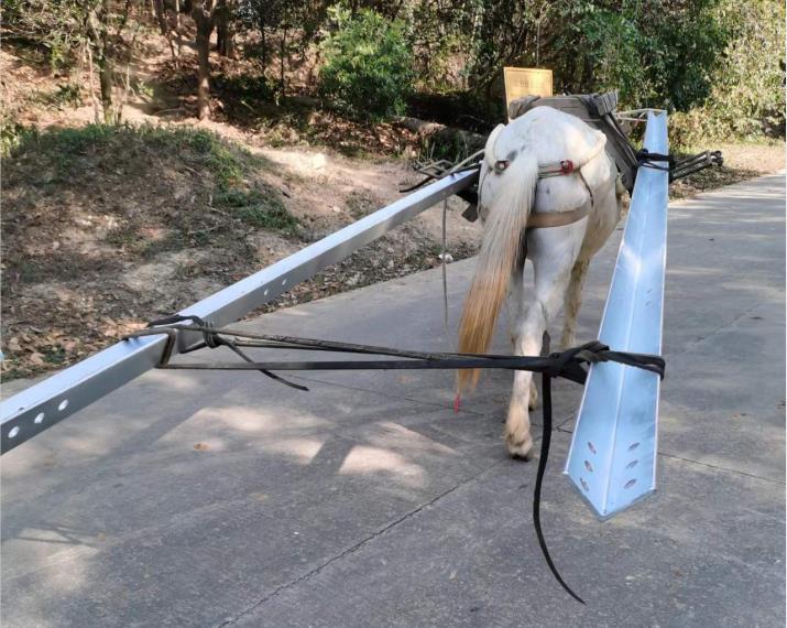 海珠区马队搬运