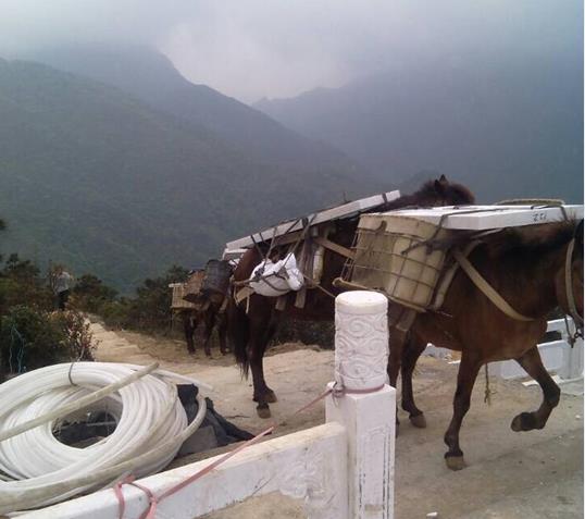 海珠区山区马帮运输