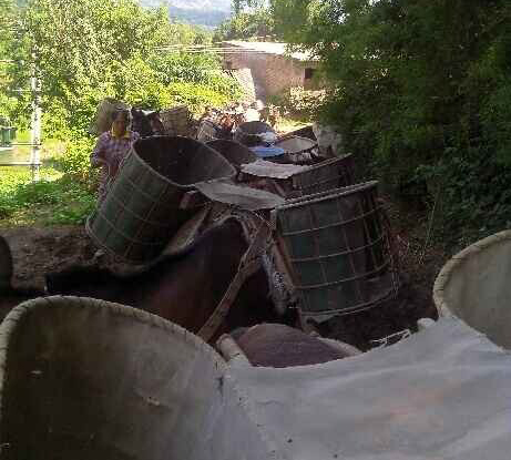 海珠区骡马运输